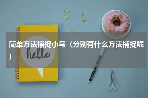 简单方法捕捉小鸟（分别有什么方法捕捉呢）