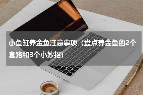 小鱼缸养金鱼注意事项（盘点养金鱼的2个套路和3个小妙招）