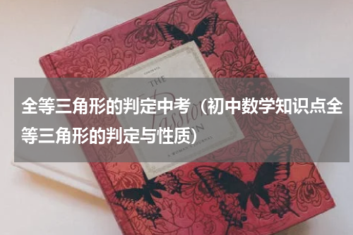 全等三角形的判定中考（初中数学知识点全等三角形的判定与性质）