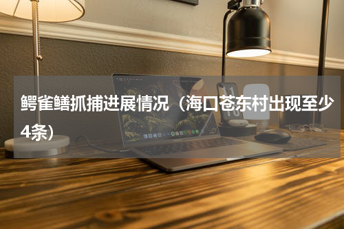 鳄雀鳝抓捕进展情况（海口苍东村出现至少4条）