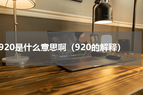 920是什么意思啊（920的解释）