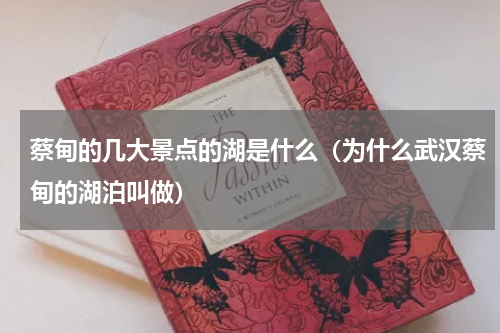 蔡甸的几大景点的湖是什么（为什么武汉蔡甸的湖泊叫做）