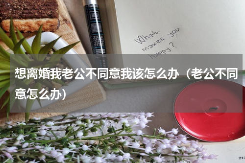 想离婚我老公不同意我该怎么办（老公不同意怎么办）