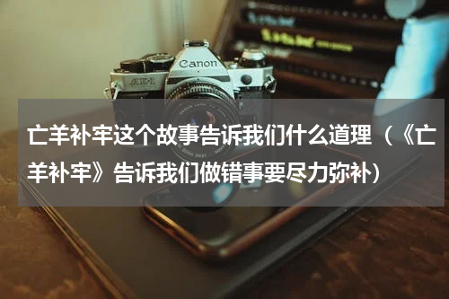 亡羊补牢这个故事告诉我们什么道理（《亡羊补牢》告诉我们做错事要尽力弥补）