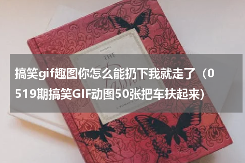 搞笑gif趣图你怎么能扔下我就走了（0519期搞笑GIF动图50张把车扶起来）