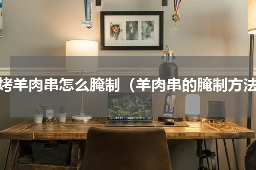 烧烤羊肉串怎么腌制（羊肉串的腌制方法）