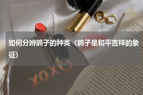 如何分辨鸽子的种类（鸽子是和平吉祥的象征）