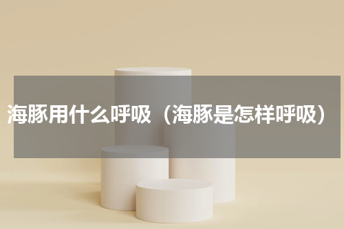 海豚用什么呼吸（海豚是怎样呼吸）
