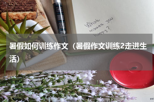 暑假如何训练作文（暑假作文训练2走进生活）