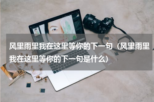 风里雨里我在这里等你的下一句（风里雨里我在这里等你的下一句是什么）