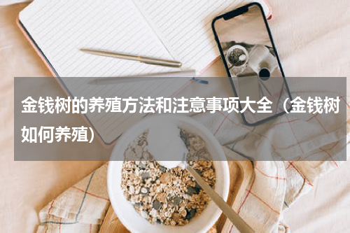 金钱树的养殖方法和注意事项大全（金钱树如何养殖）