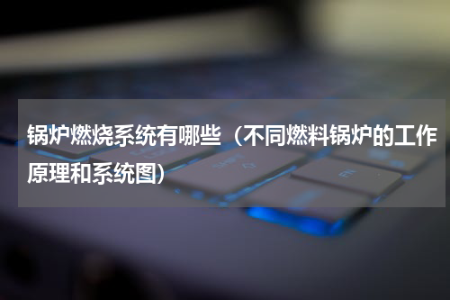 锅炉燃烧系统有哪些（不同燃料锅炉的工作原理和系统图）