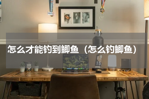 怎么才能钓到鲫鱼（怎么钓鲫鱼）