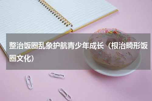 整治饭圈乱象护航青少年成长（根治畸形饭圈文化）