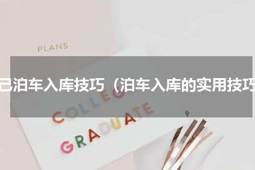自己泊车入库技巧（泊车入库的实用技巧）