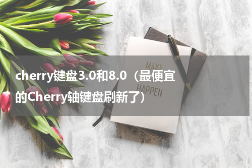 cherry键盘3.0和8.0（最便宜的Cherry轴键盘刷新了）