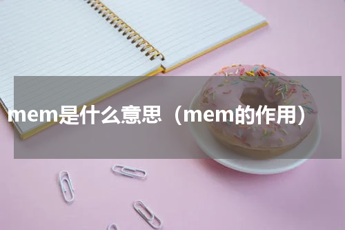 mem是什么意思（mem的作用）