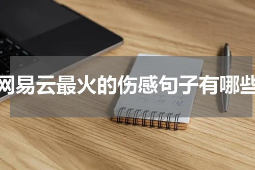网易云最火的伤感句子有哪些