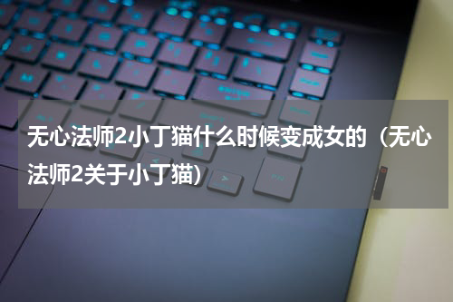 无心法师2小丁猫什么时候变成女的（无心法师2关于小丁猫）