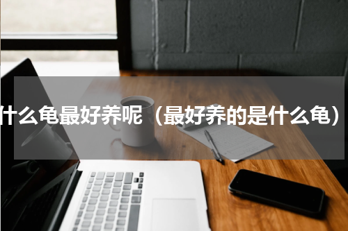 什么龟最好养呢（最好养的是什么龟）