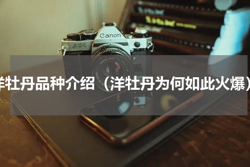 洋牡丹品种介绍（洋牡丹为何如此火爆）