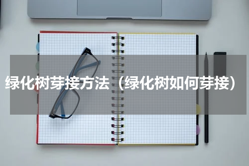 绿化树芽接方法（绿化树如何芽接）