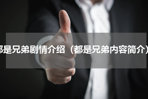 都是兄弟剧情介绍（都是兄弟内容简介）