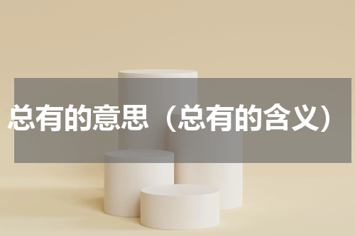 总有的意思（总有的含义）