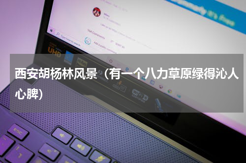西安胡杨林风景（有一个八力草原绿得沁人心脾）