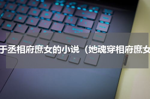 关于丞相府庶女的小说（她魂穿相府庶女）