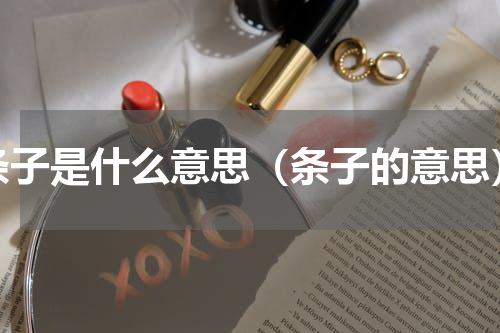 条子是什么意思（条子的意思）