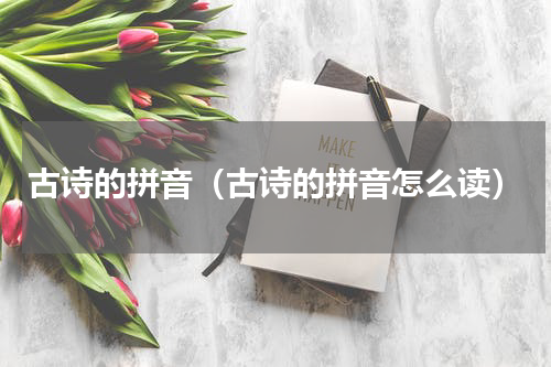 古诗的拼音（古诗的拼音怎么读）