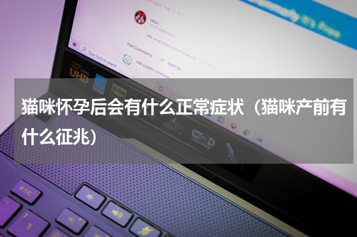 猫咪怀孕后会有什么正常症状（猫咪产前有什么征兆）