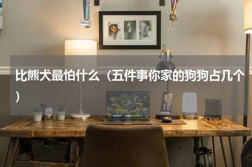 比熊犬最怕什么（五件事你家的狗狗占几个）