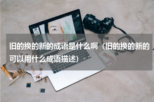 旧的换的新的成语是什么啊（旧的换的新的可以用什么成语描述）