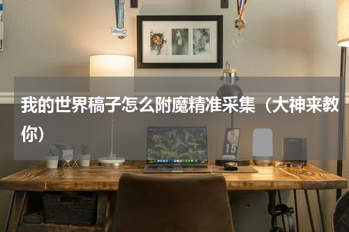 我的世界稿子怎么附魔精准采集（大神来教你）