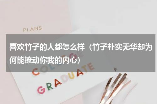 喜欢竹子的人都怎么样（竹子朴实无华却为何能撩动你我的内心）