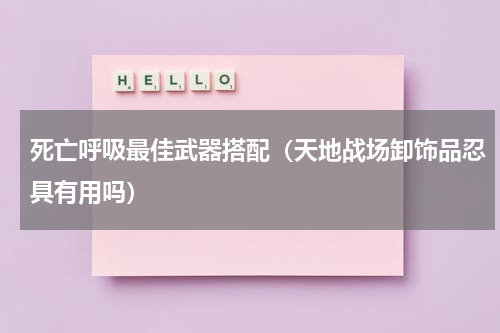 死亡呼吸最佳武器搭配（天地战场卸饰品忍具有用吗）