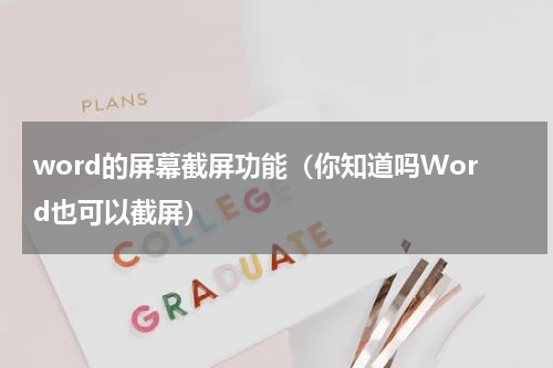 word的屏幕截屏功能（你知道吗Word也可以截屏）