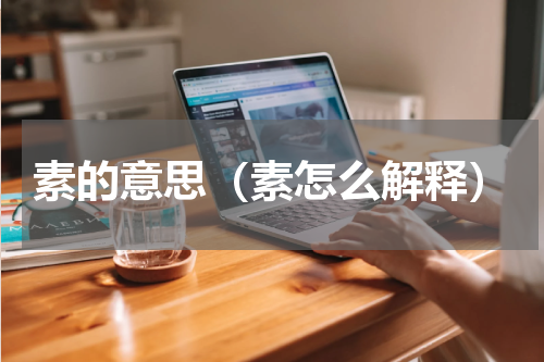 素的意思（素怎么解释）