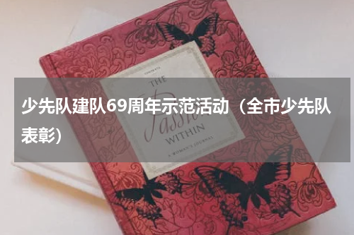 少先队建队69周年示范活动（全市少先队表彰）