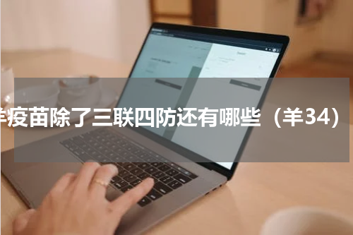 羊疫苗除了三联四防还有哪些（羊34）