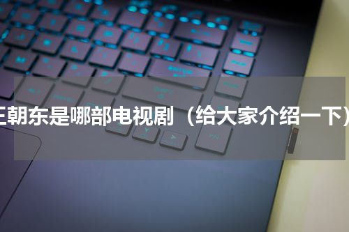 王朝东是哪部电视剧（给大家介绍一下）