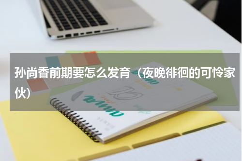 孙尚香前期要怎么发育（夜晚徘徊的可怜家伙）