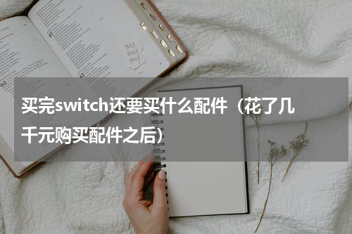 买完switch还要买什么配件（花了几千元购买配件之后）