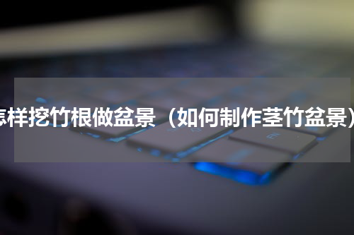怎样挖竹根做盆景（如何制作茎竹盆景）