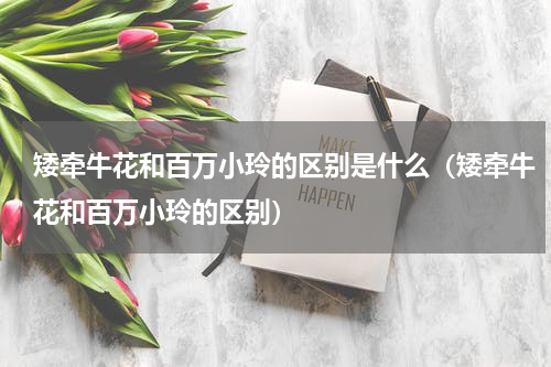 矮牵牛花和百万小玲的区别是什么（矮牵牛花和百万小玲的区别）