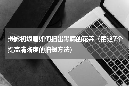 摄影初级篇如何拍出黑底的花卉（用这7个提高清晰度的拍摄方法）