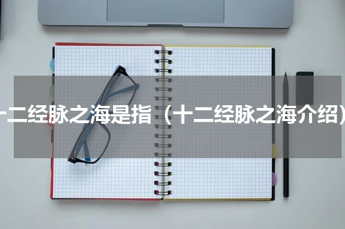 十二经脉之海是指（十二经脉之海介绍）