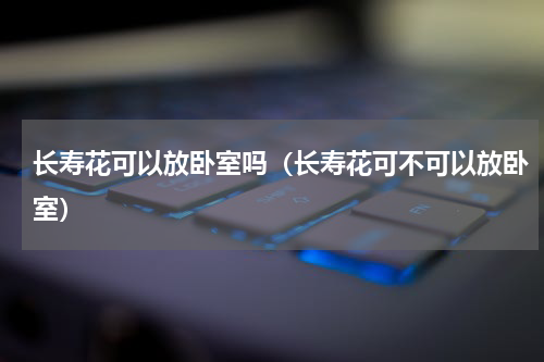 长寿花可以放卧室吗（长寿花可不可以放卧室）